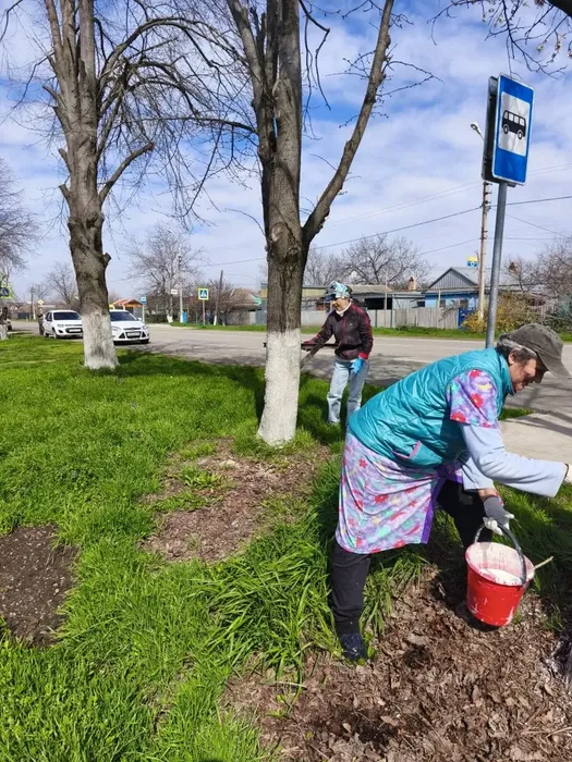 0e3c4115-c5f1-4389-b03c-2abc7044fe0a