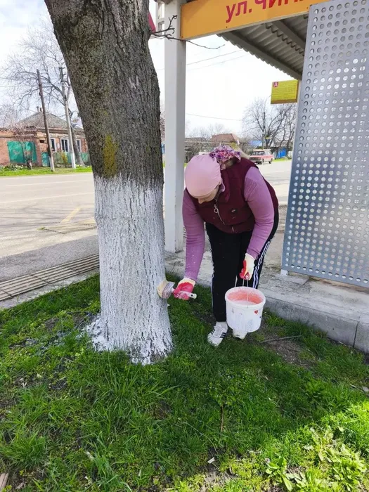 1fb624db-e6ce-44a5-b7df-c576074f6b04