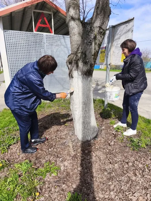 4cae72b5-3d8a-4e34-b24f-74f355b82f16