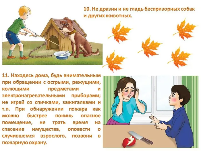 Слайд5