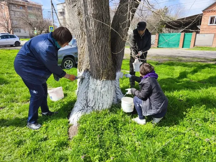 21507409-cf9f-4af1-b524-49bc5593e107